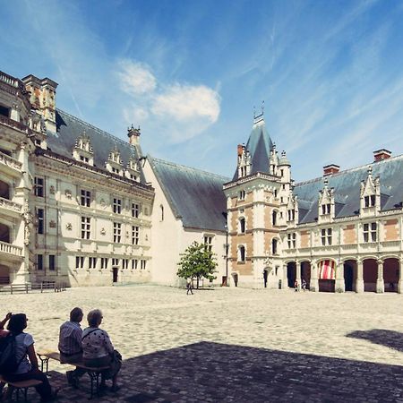 Gite De La Tour De Loire - 65 M2 Au Pied D'Une Tour De Gue Du 17Eme Siecle Mer Exteriör bild