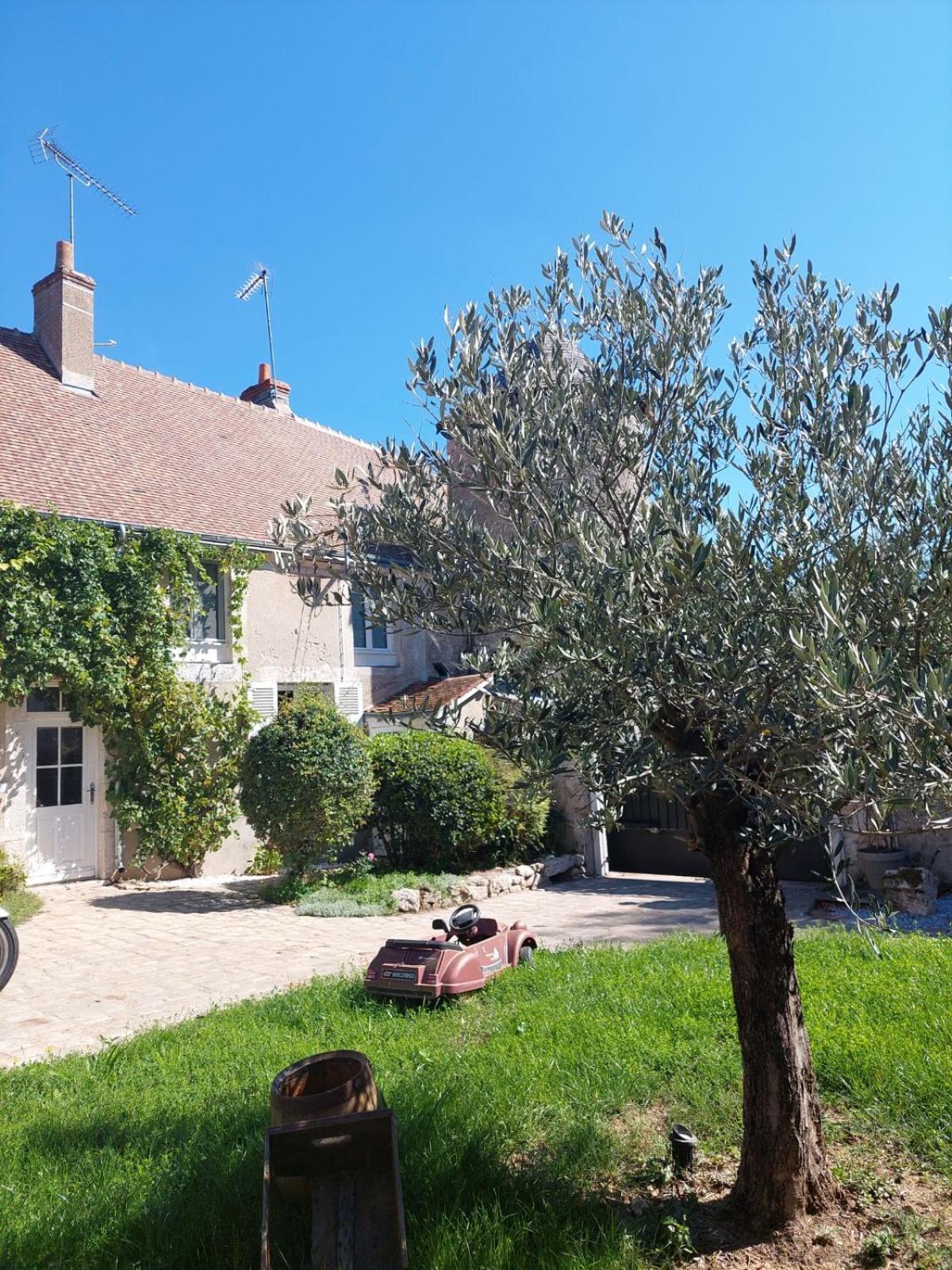 Gite De La Tour De Loire - 65 M2 Au Pied D'Une Tour De Gue Du 17Eme Siecle Mer Exteriör bild